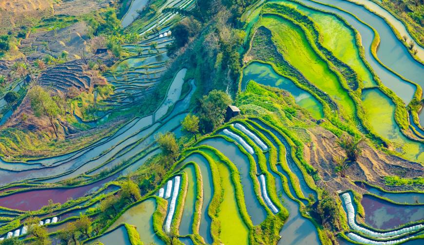 走进永嘉县TVC拍摄：解锁本地化场景与创意镜头的完美融合